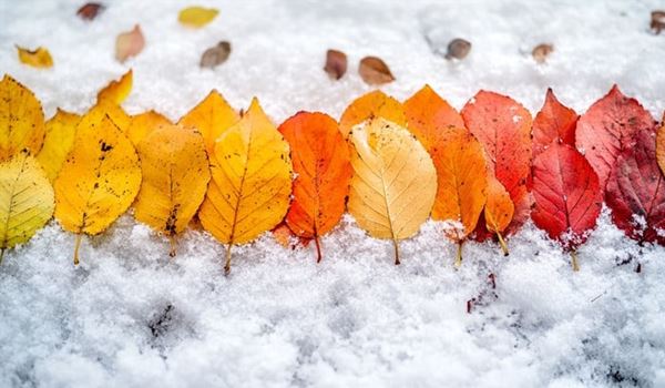 Autumn